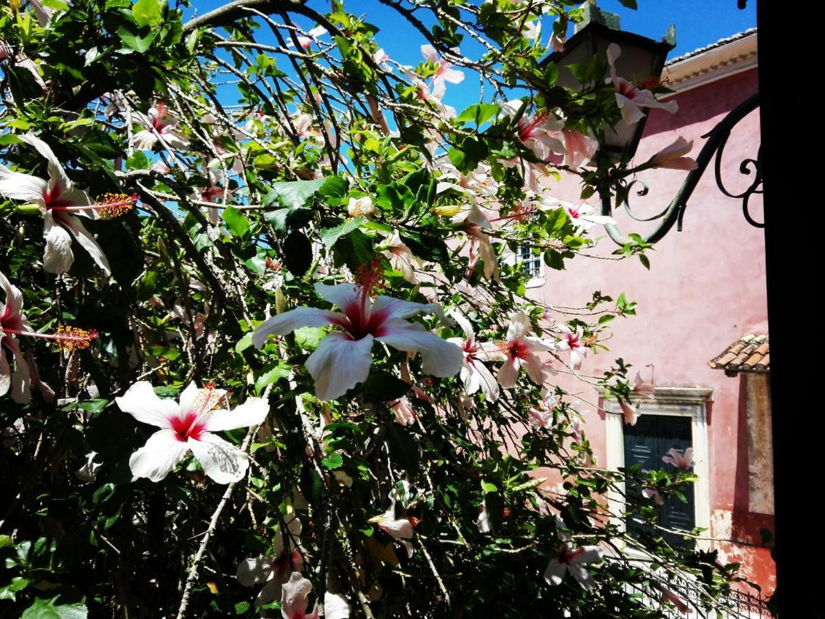 Venetian Well Cozy Apartment Corfu Old Town Exteriér fotografie